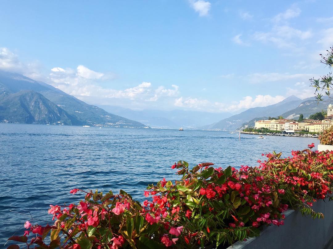 Vanessa Rallonza: Tranquil Blooms at Lake Como's Shoreline