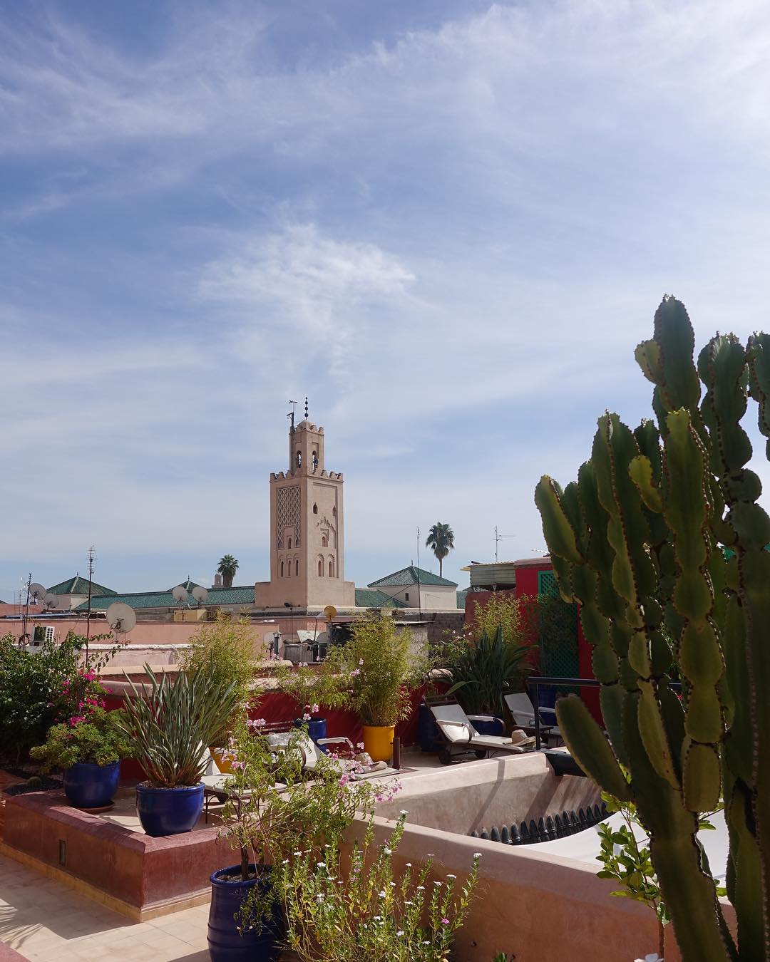 Vanessa Rallonza: Serene Moment on Marrakech Rooftop, Cactus Pot Charm