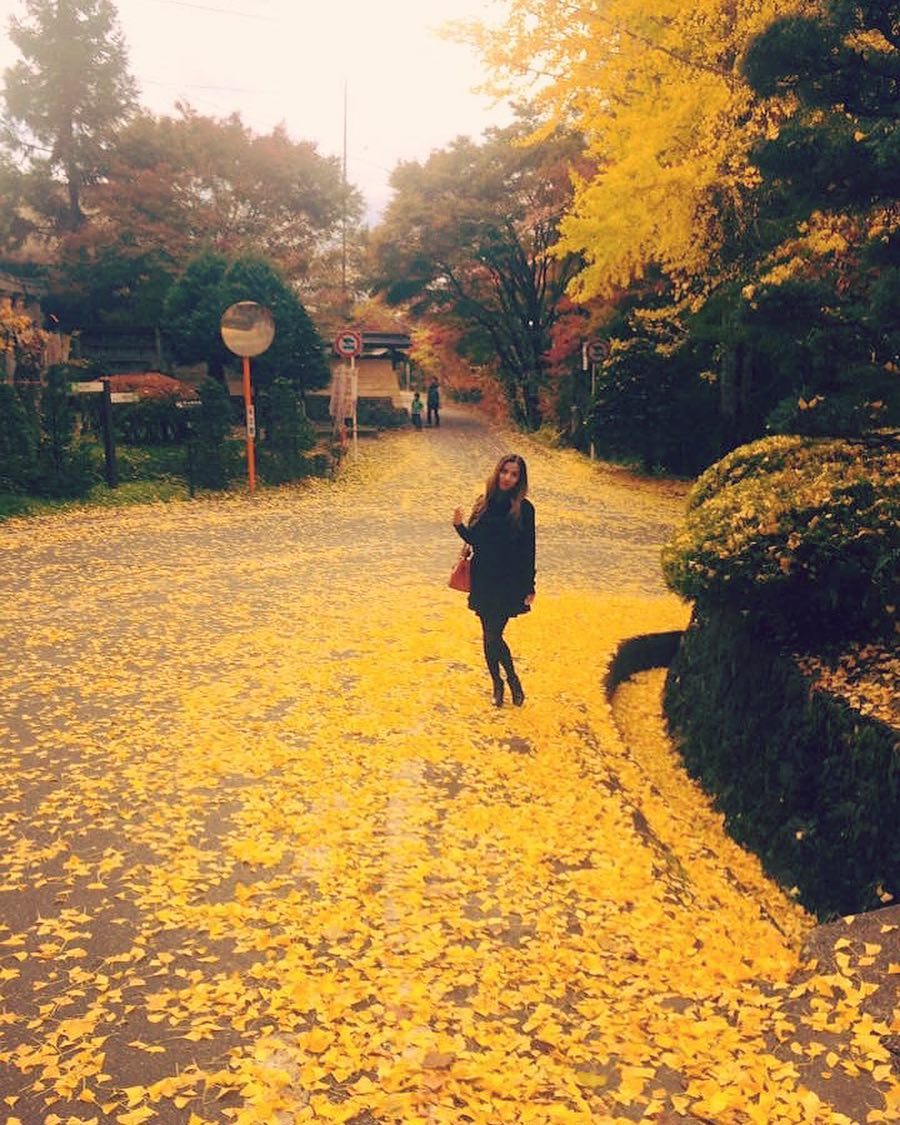 Vanessa Rallonza: Autumn Wanderlust in Vibrant Takayama