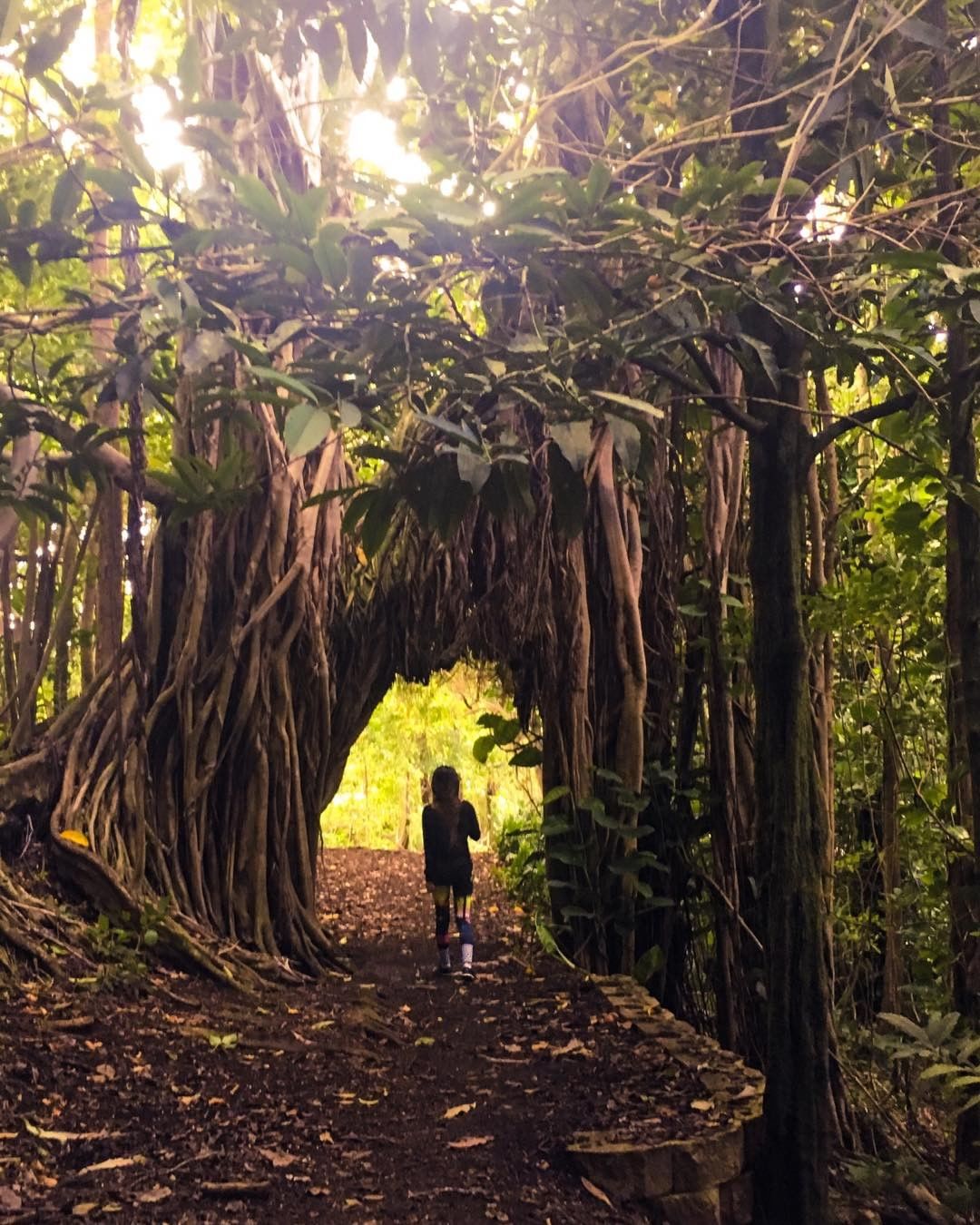 Vanessa Rallonza: Determined Jungle Explorer in Verdant Tunnel