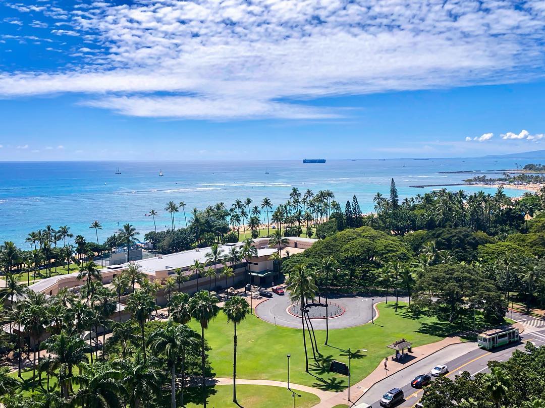 Vanessa Rallonza Enjoying Sunny Waikiki Beach with Playful Sea Turtles