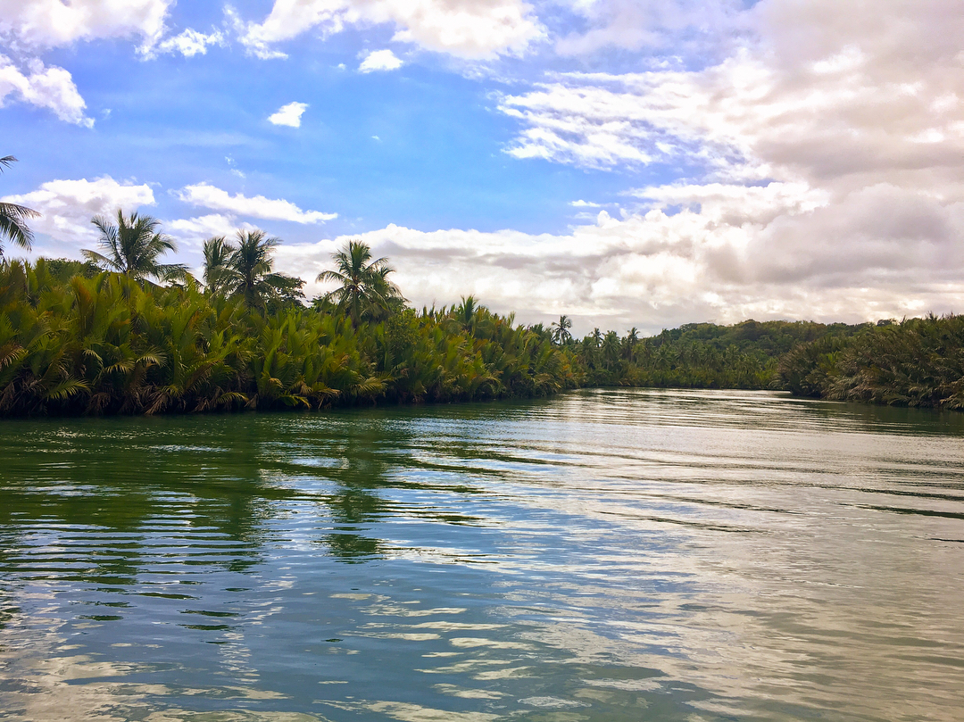 Vanessa Rallonza's Homeland Nostalgia: Serene Lake amidst Lush Green Trees