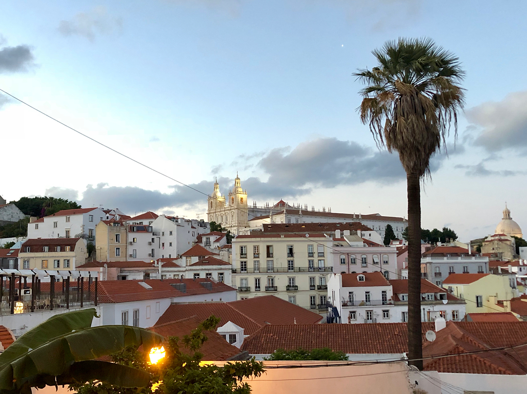 Vanessa Rallonza, First-Time Explorer Amidst Vibrant Lisbon Palm Tree Scene