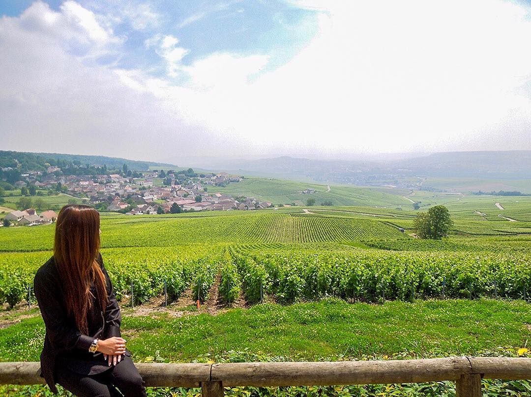 Vanessa Rallonza, Enchanted in Picturesque Vineyard, Épernay, France