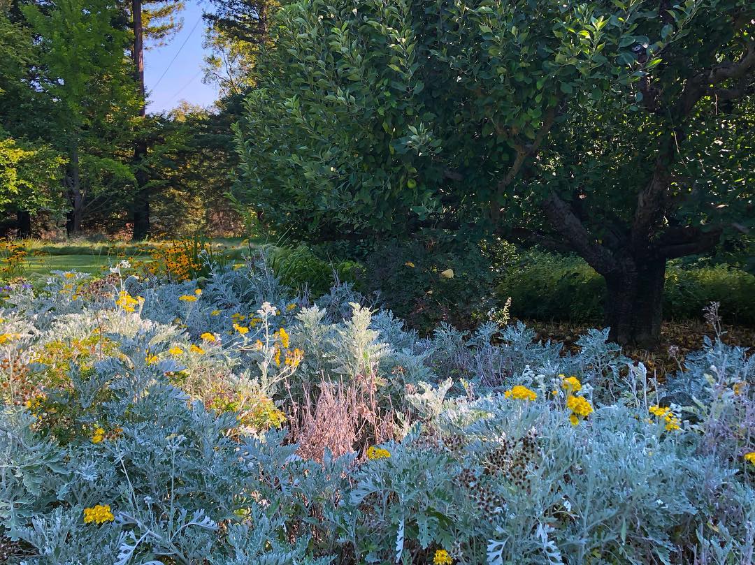 Vanessa Rallonza's Captivating Blossom Symphony