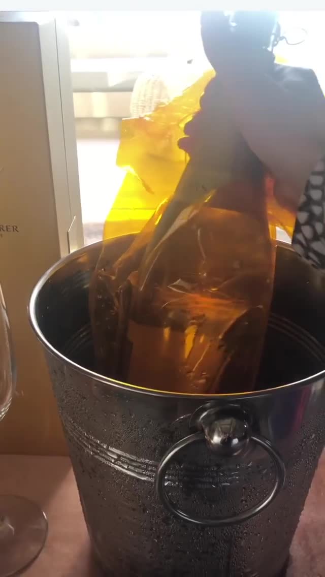 Vanessa Rallonza Elegant Wine Celebration (Video)