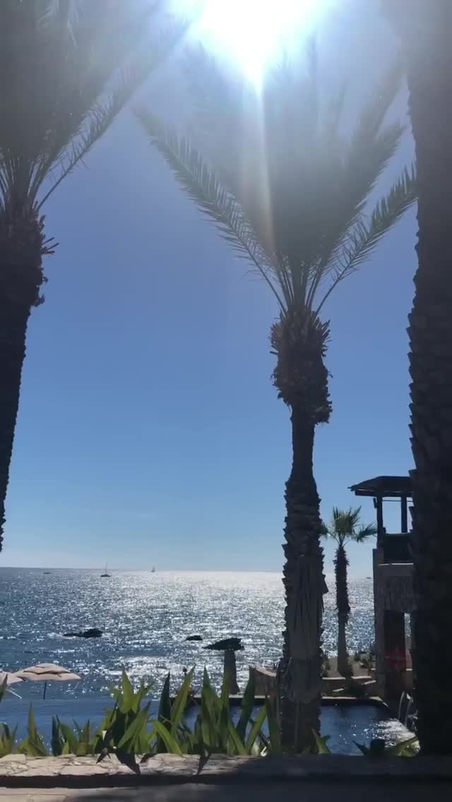 Vanessa Rallonza Sunlit Serenity by the Ocean (Video)