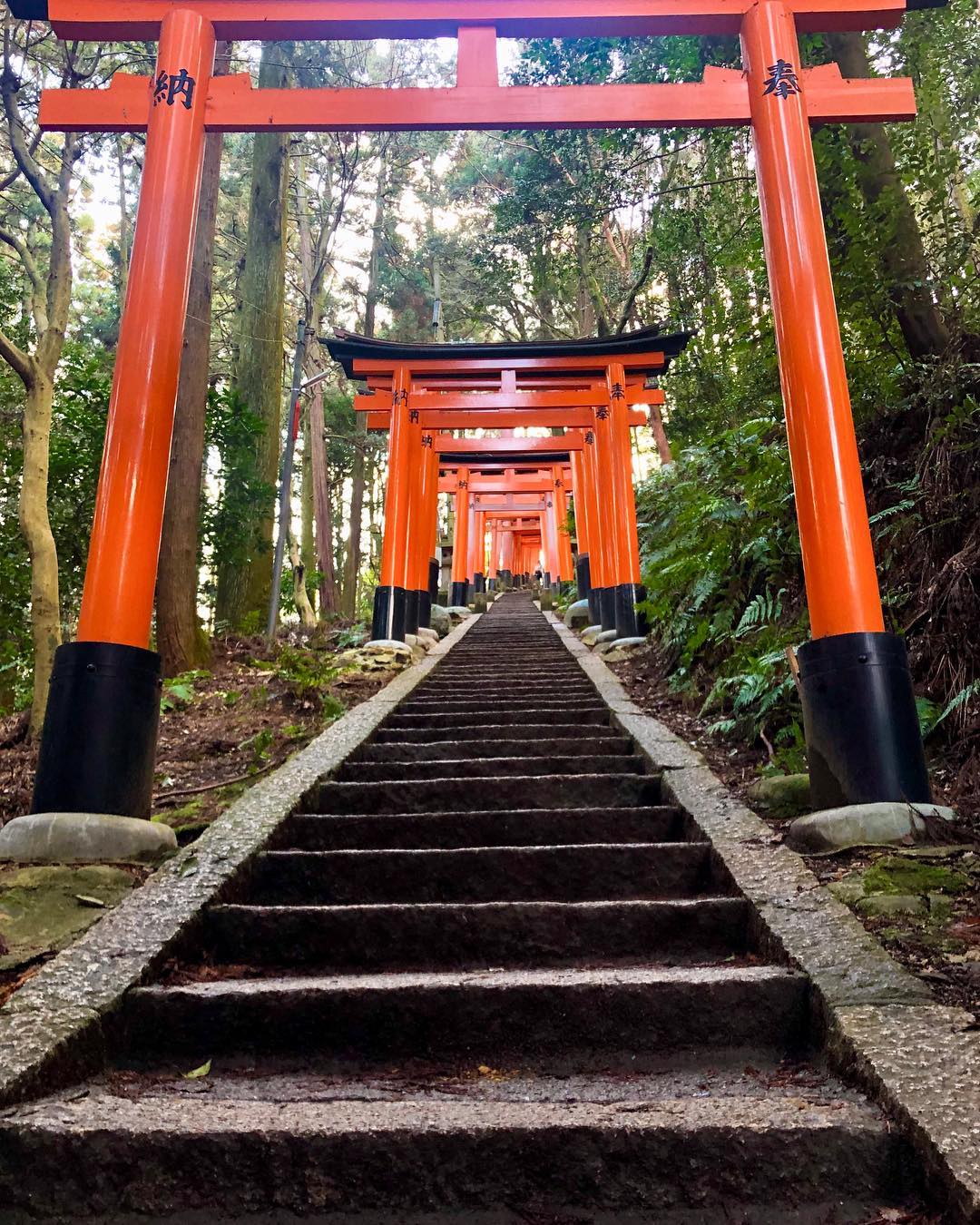 Vanessa Rallonza's Torii Tour through Japan's Spiritual Realm - 🙏🏼