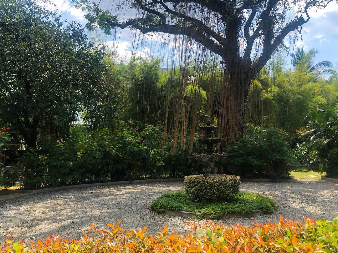 Vanessa Rallonza's Urban Sanctuary: Serene City Garden