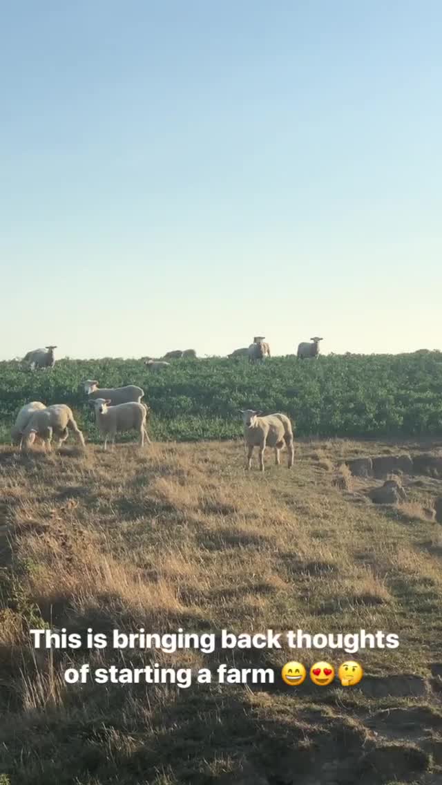 Vanessa Rallonza Dreaming of Farm Life (Video)
