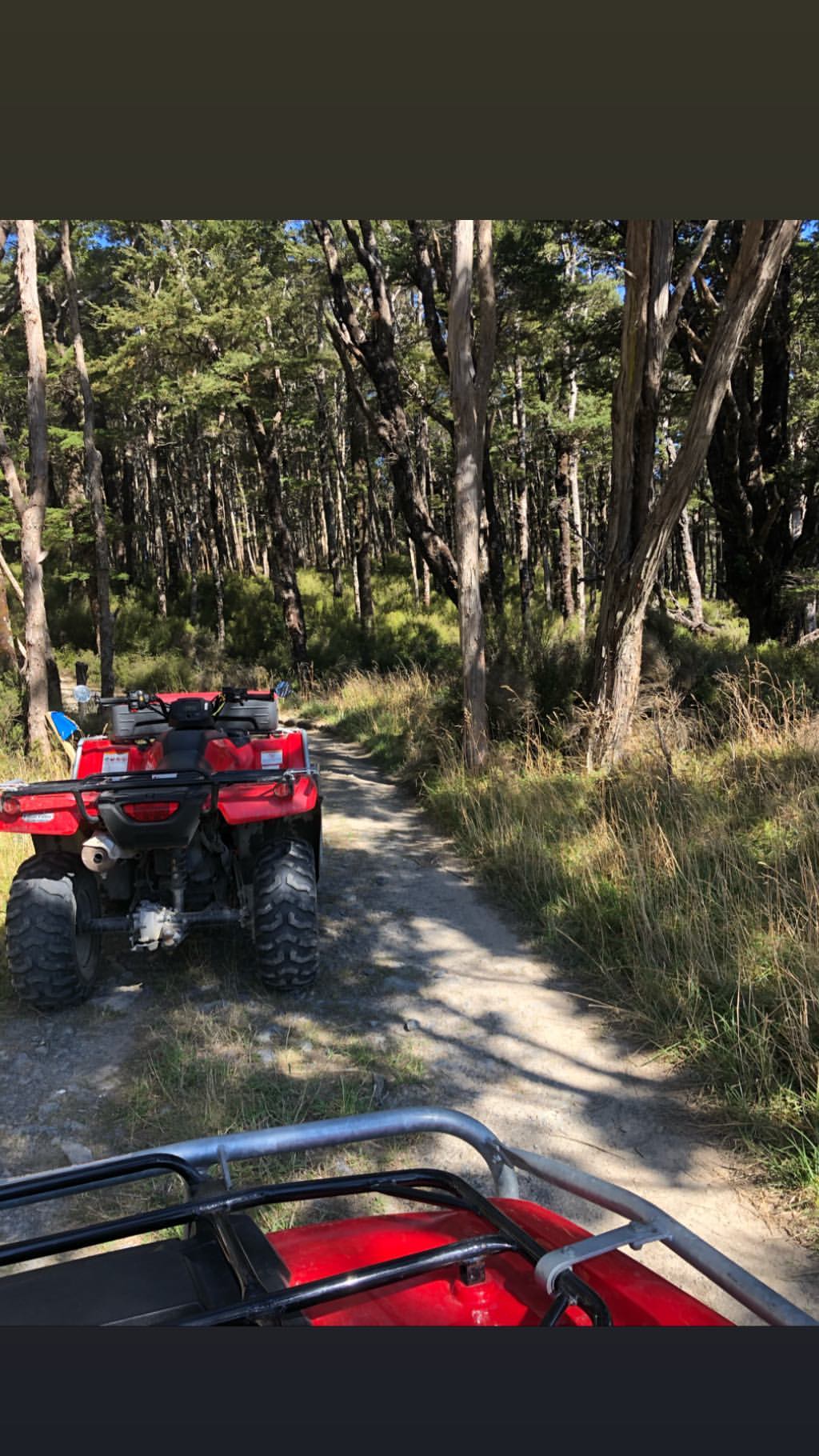 Vanessa Rallonza: Conquering Serene Forest ATV Ride