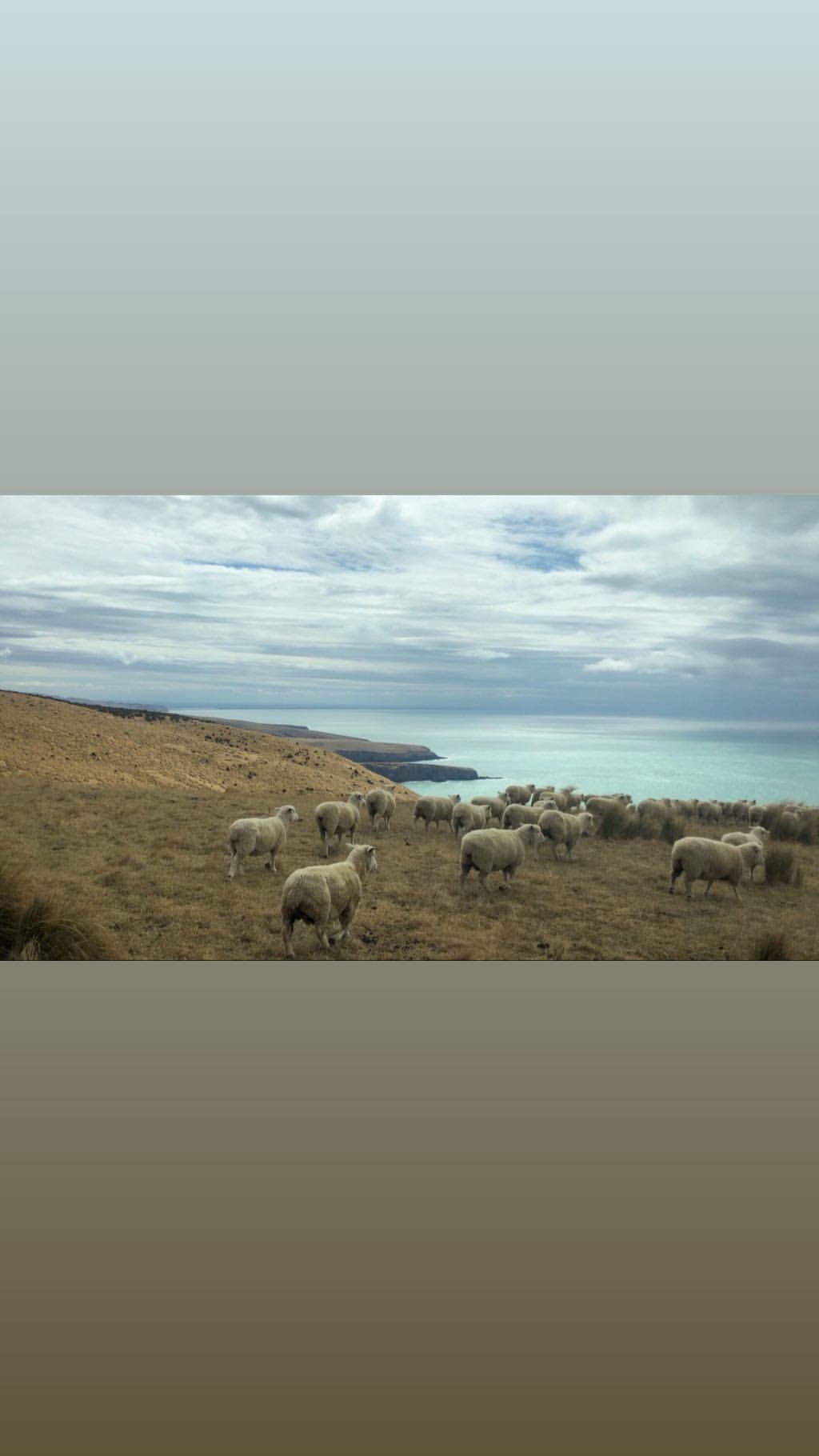 Vanessa Rallonza: Idyllic Pastoral Serenity