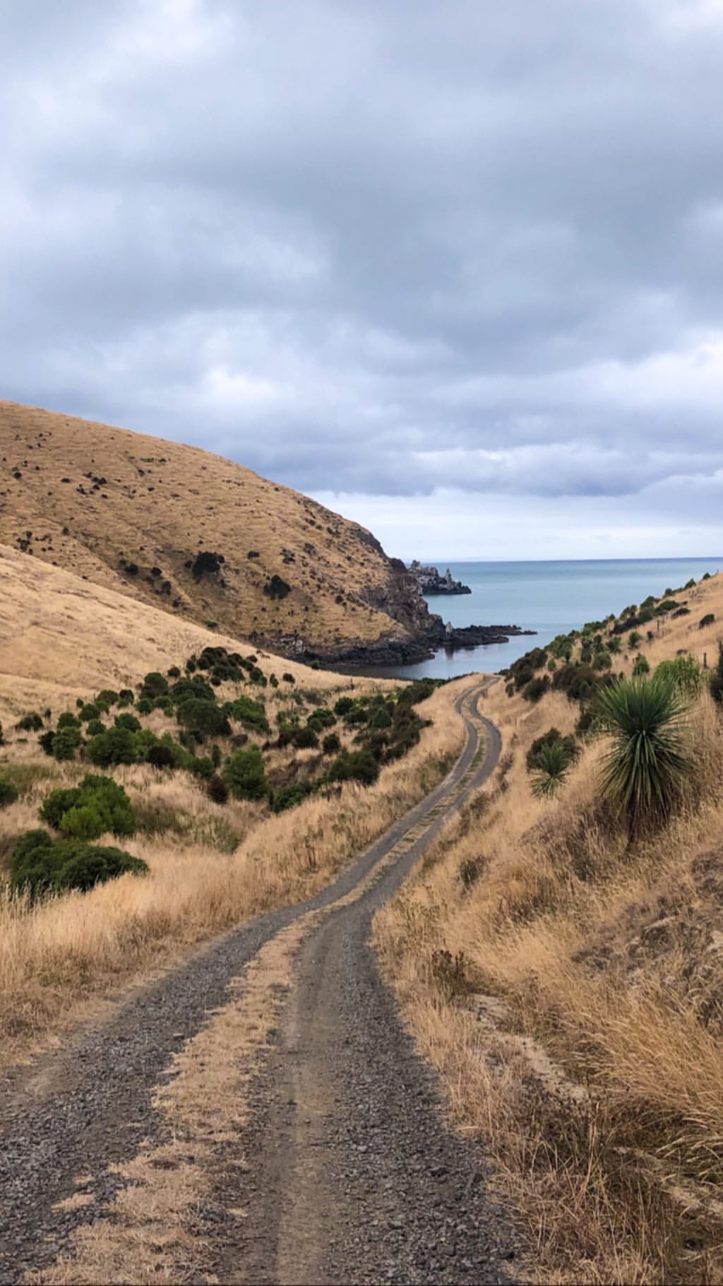 Vanessa Rallonza: Scenic Dirt Path to Horizon Ocean