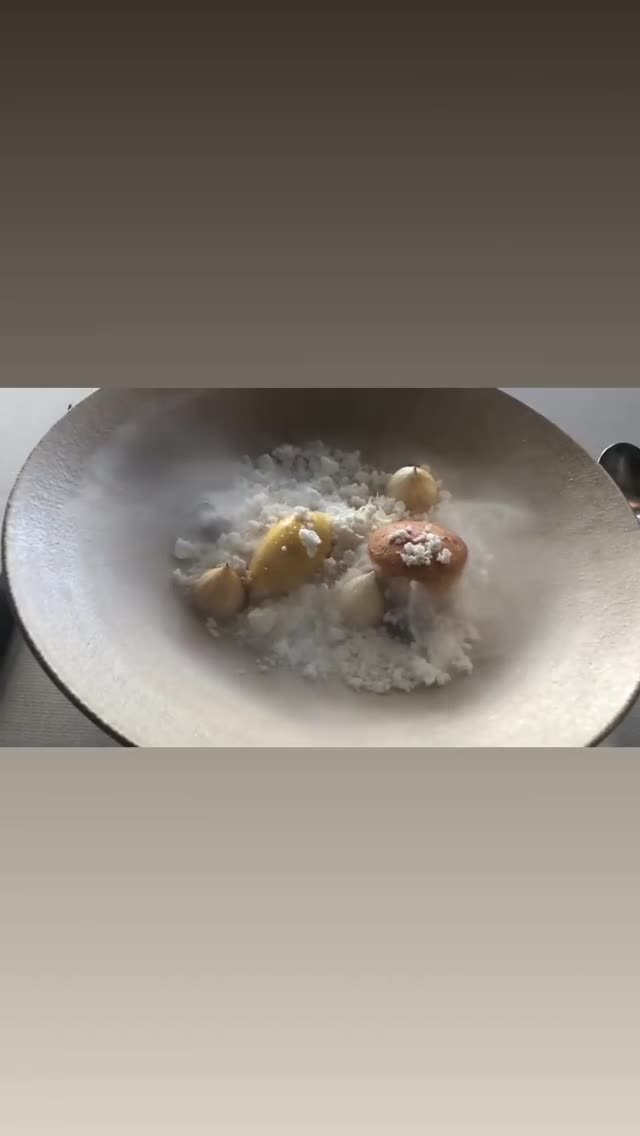 Vanessa Rallonza Culinary Delight Experience (Video)