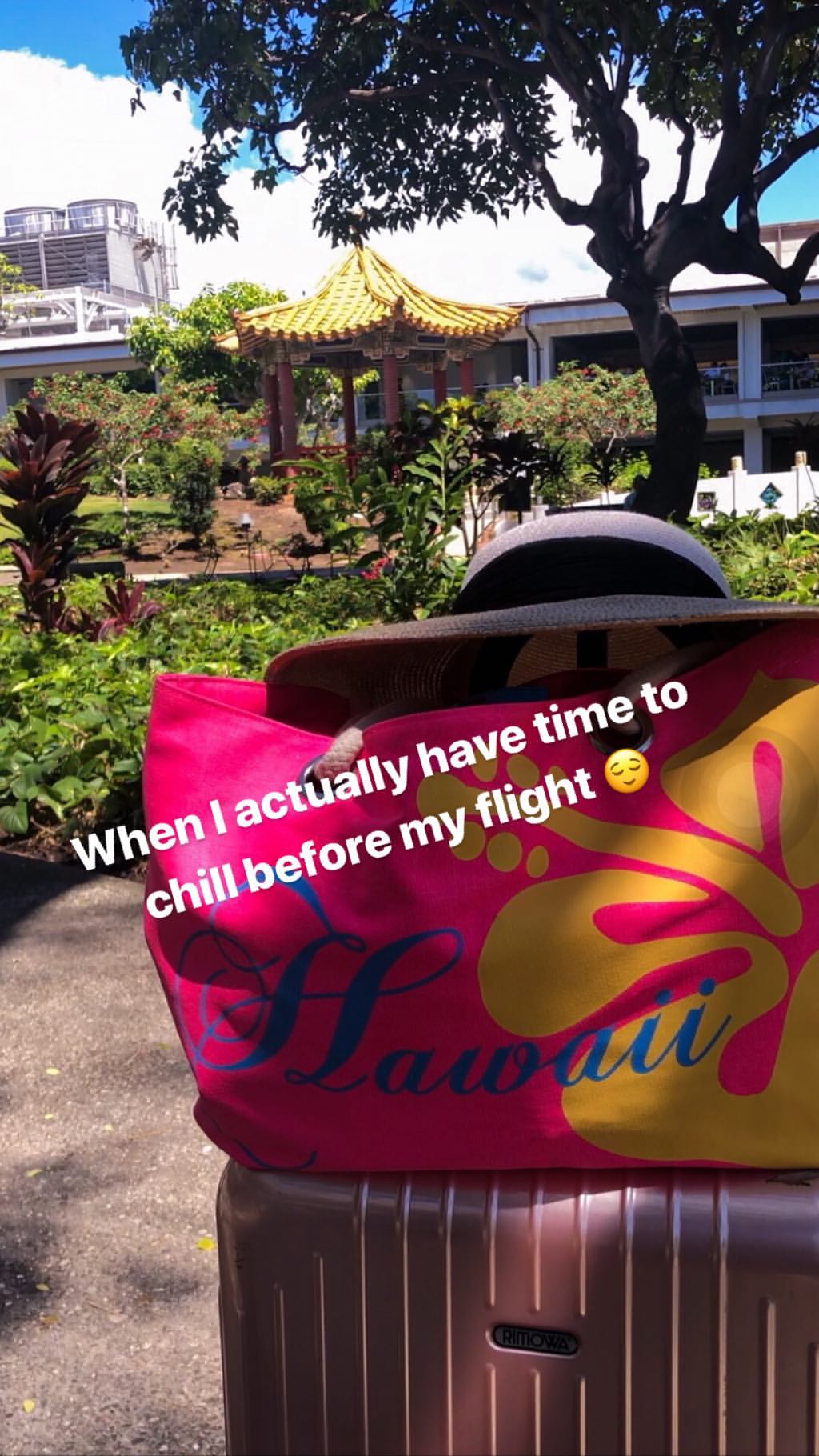 Vanessa Rallonza: Bold Pink-Yellow Adventure Suitcase