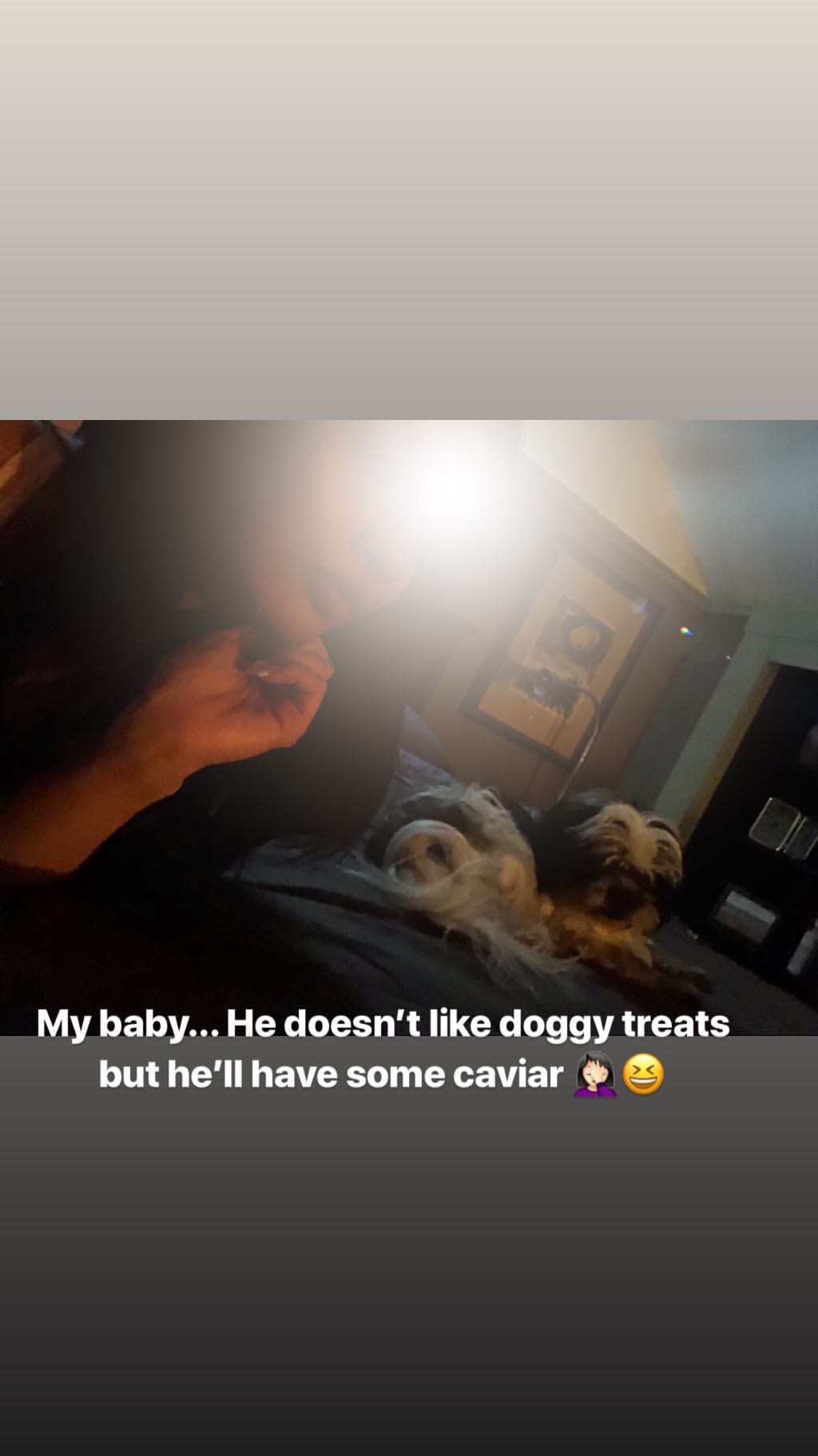 Vanessa Rallonza: Cozy Moment, Comfortable Dog