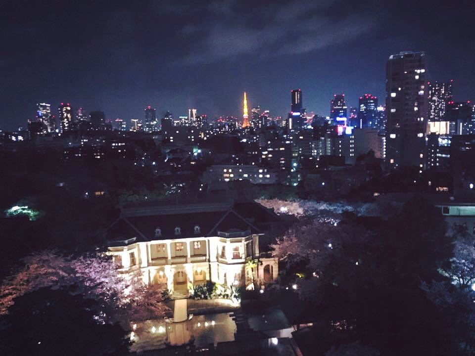 Vanessa Rallonza: Sakura-Filled Tokyo Rooftop, April 2016