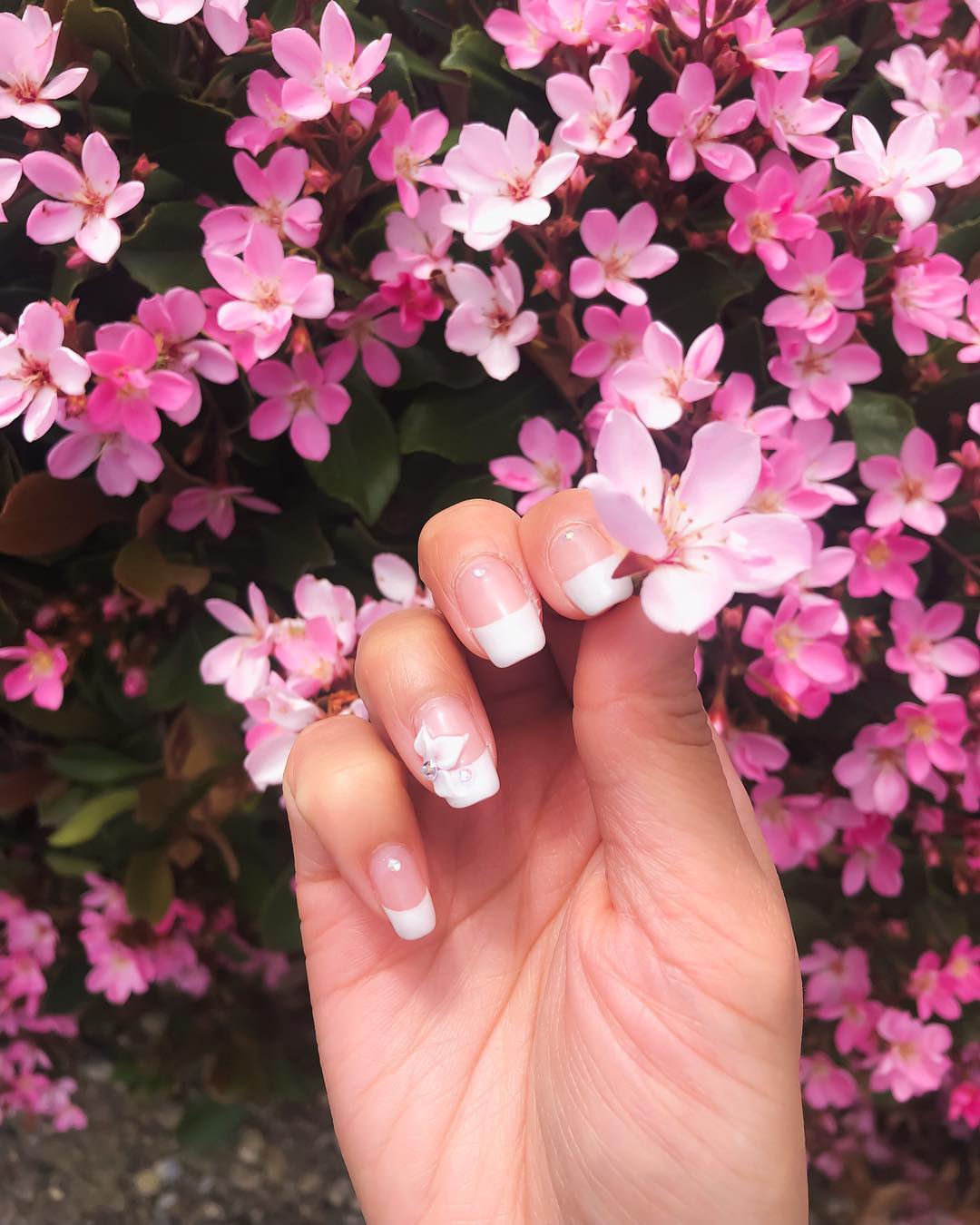 Vanessa Rallonza - Radiant Charm Amidst Pink Blossom Shower