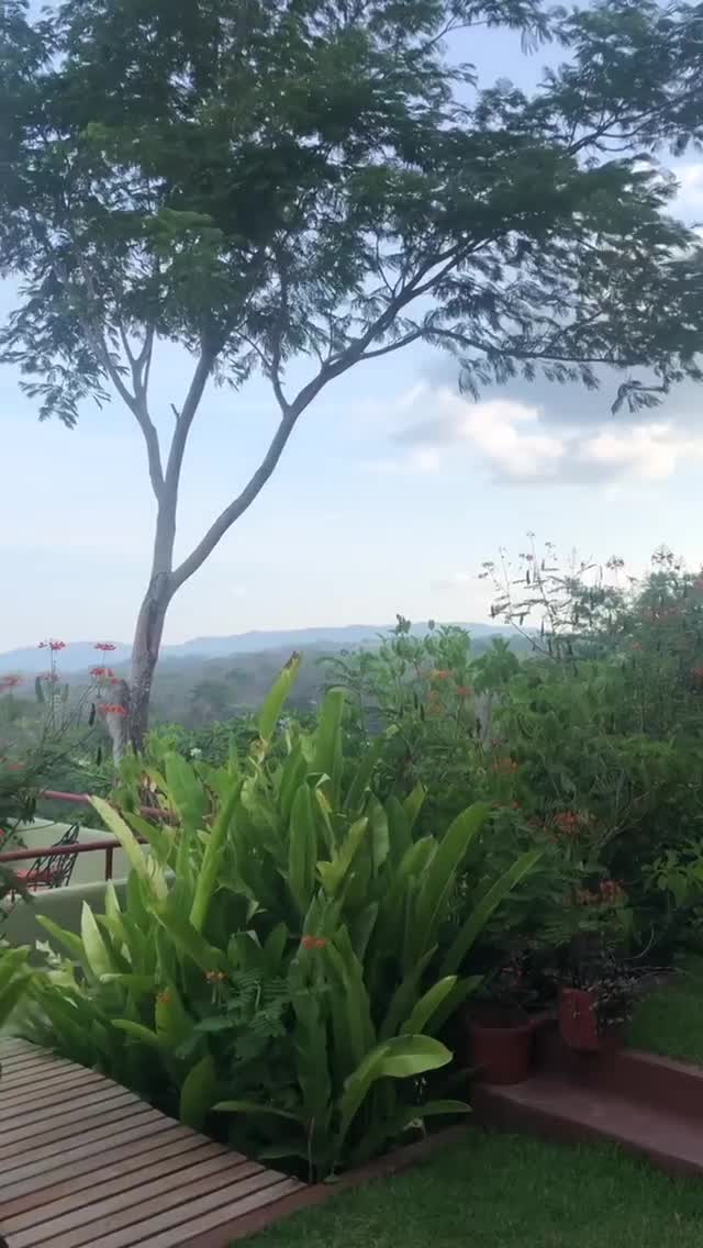 Vanessa Rallonza's Serene Oceanfront Oasis (Video)