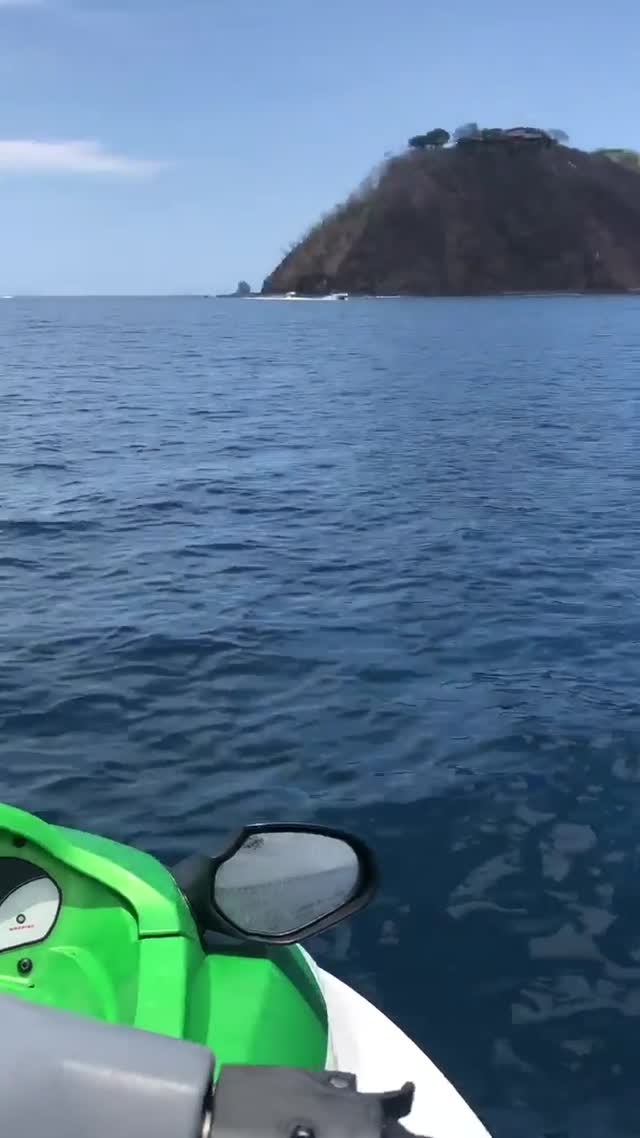 Vanessa Rallonza Ocean Adventure: Scenic Dolphin Voyage (Video)