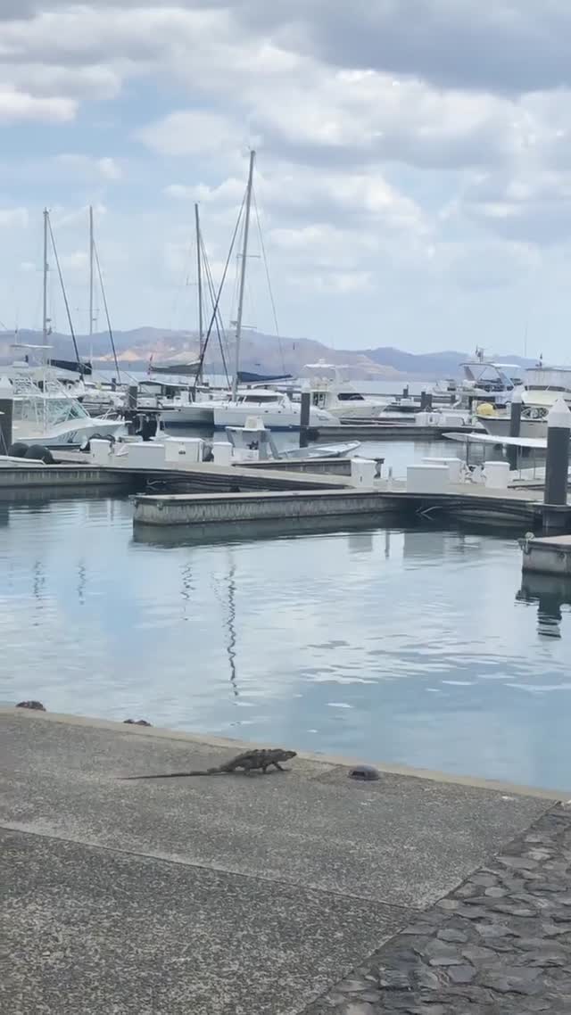 Vanessa Rallonza's Tranquil Marina Adventure (Video)