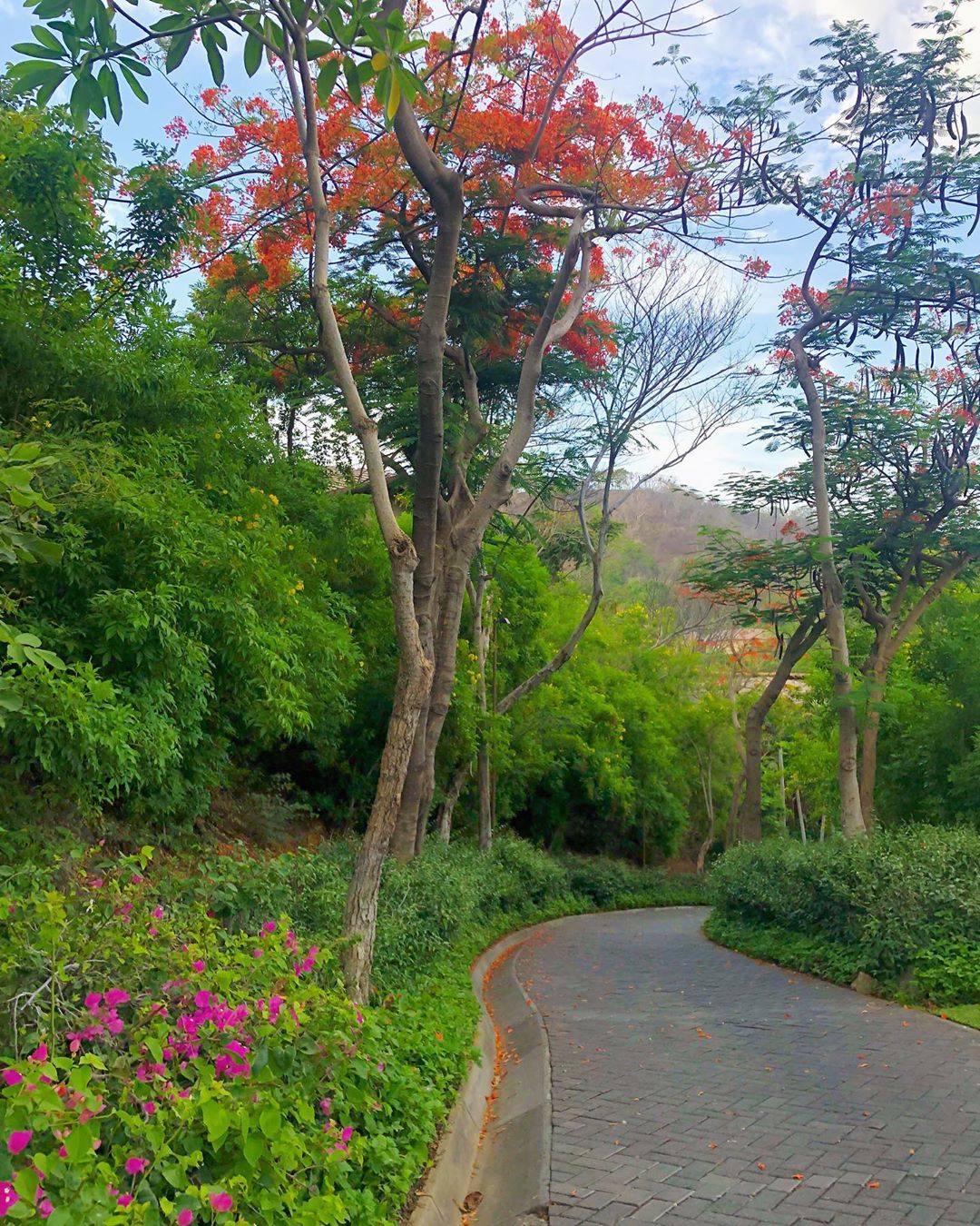 Vanessa Rallonza: Vibrant Floral Maze in Blossom Garden