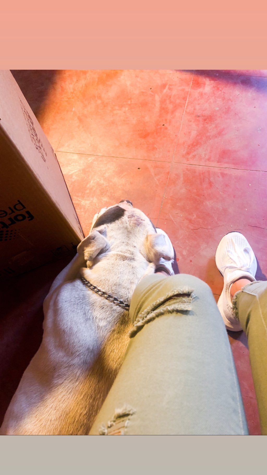 Vanessa Rallonza: Love and Companionship Shared with Playful Dog
