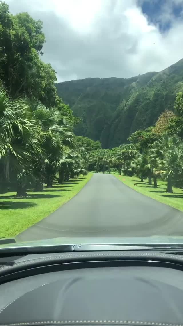 Vanessa Rallonza Scenic Tropical Drive Adventure (Video)