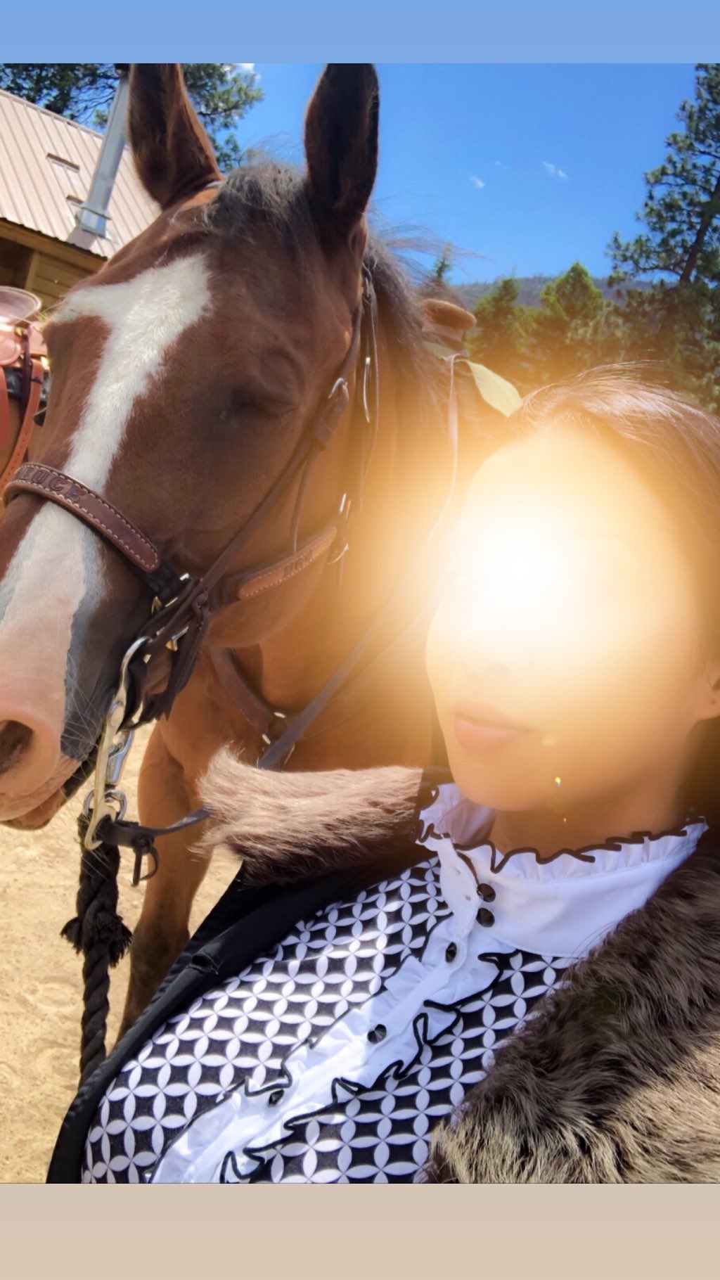 Vanessa Rallonza: Tender Stable Embrace with Magnificent Steed