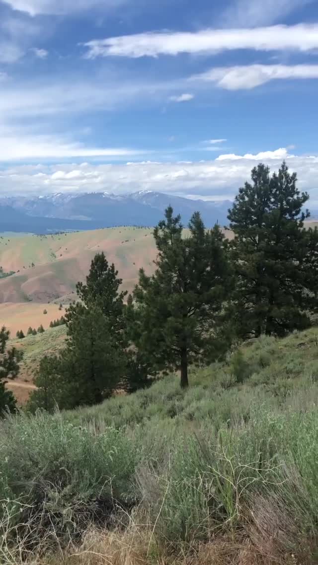 Vanessa Rallonza's Serene Nature Adventure (Video)