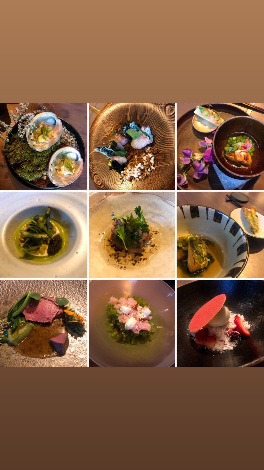 Vanessa Rallonza: Vibrant Diverse Dish Artwork