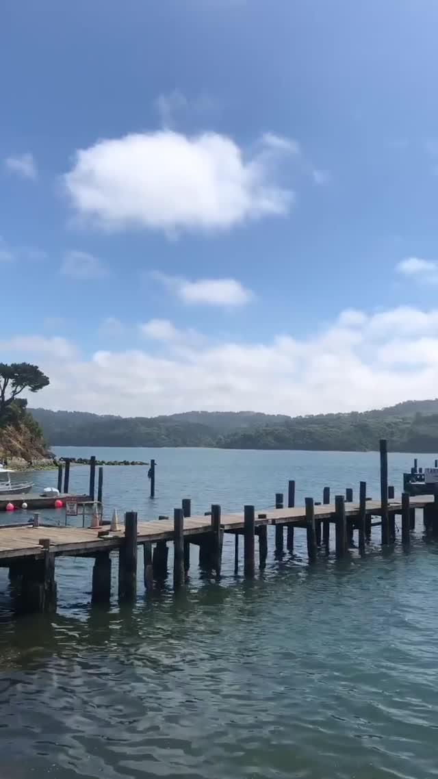 Vanessa Rallonza Serene Dock Escape (Video)