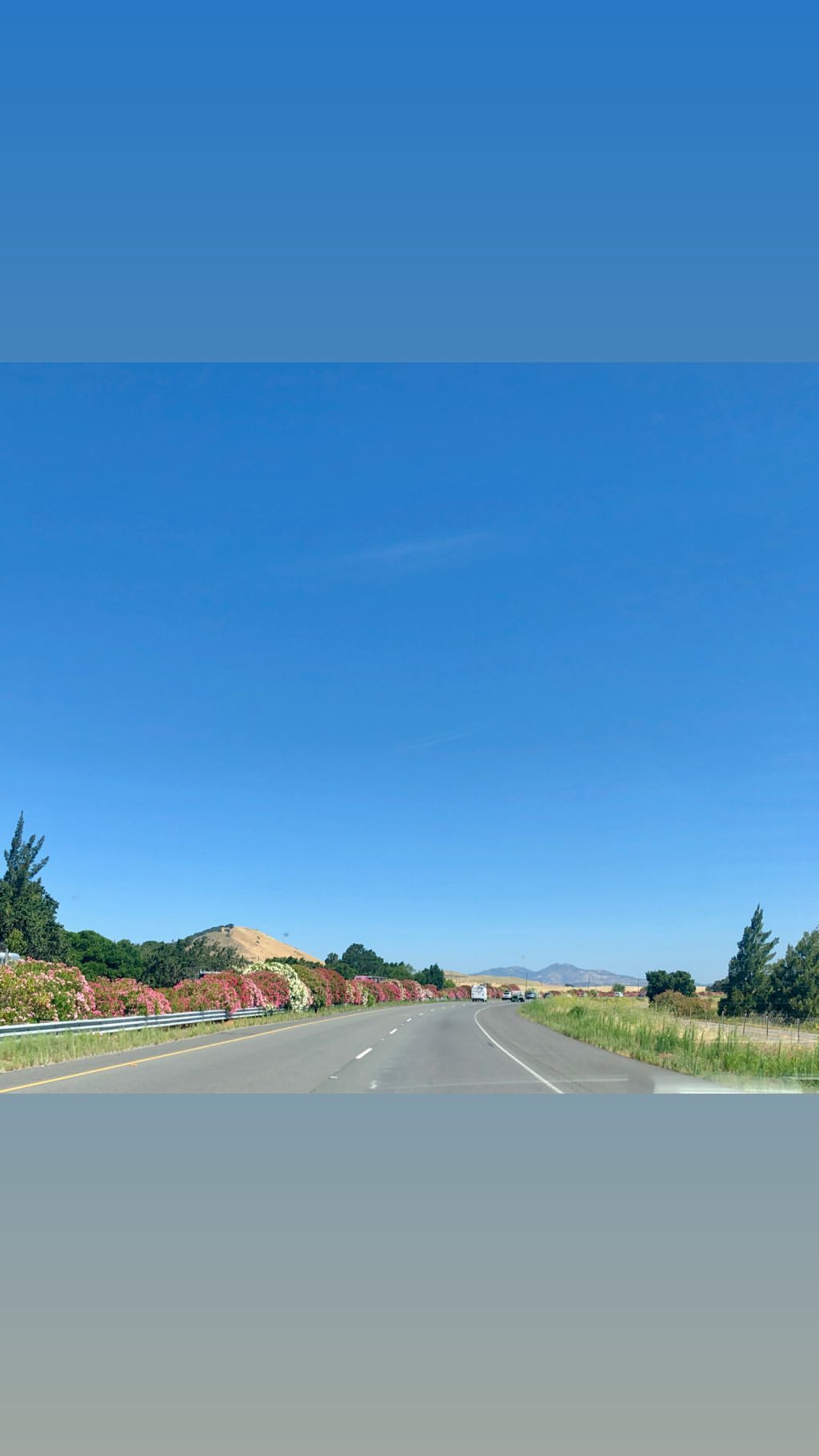Vanessa Rallonza: Lush Green Scenic Drive Through Vast Landscape
