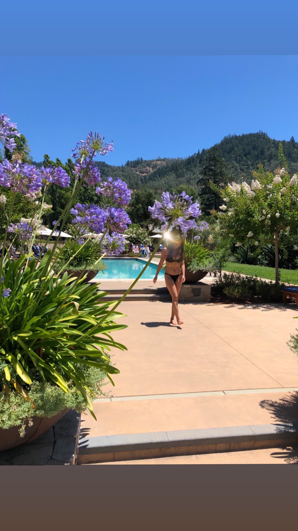 Vanessa Rallonza: Serene Glide Through Vibrant Enchanted Garden