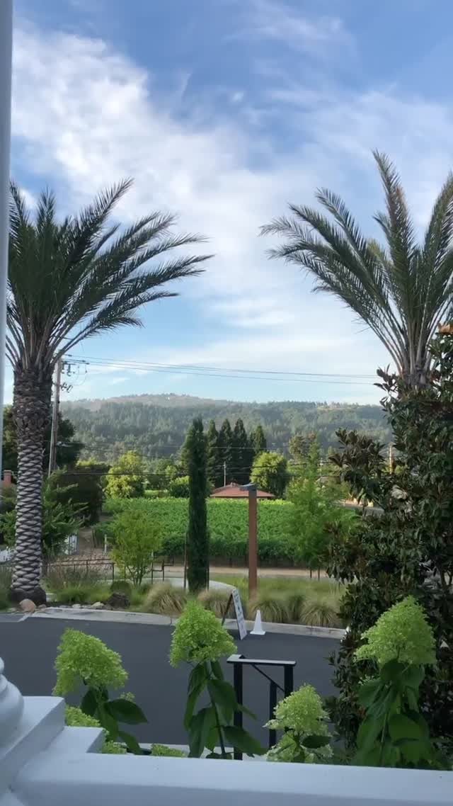 Vanessa Rallonza Serene Balcony Escape (Video)