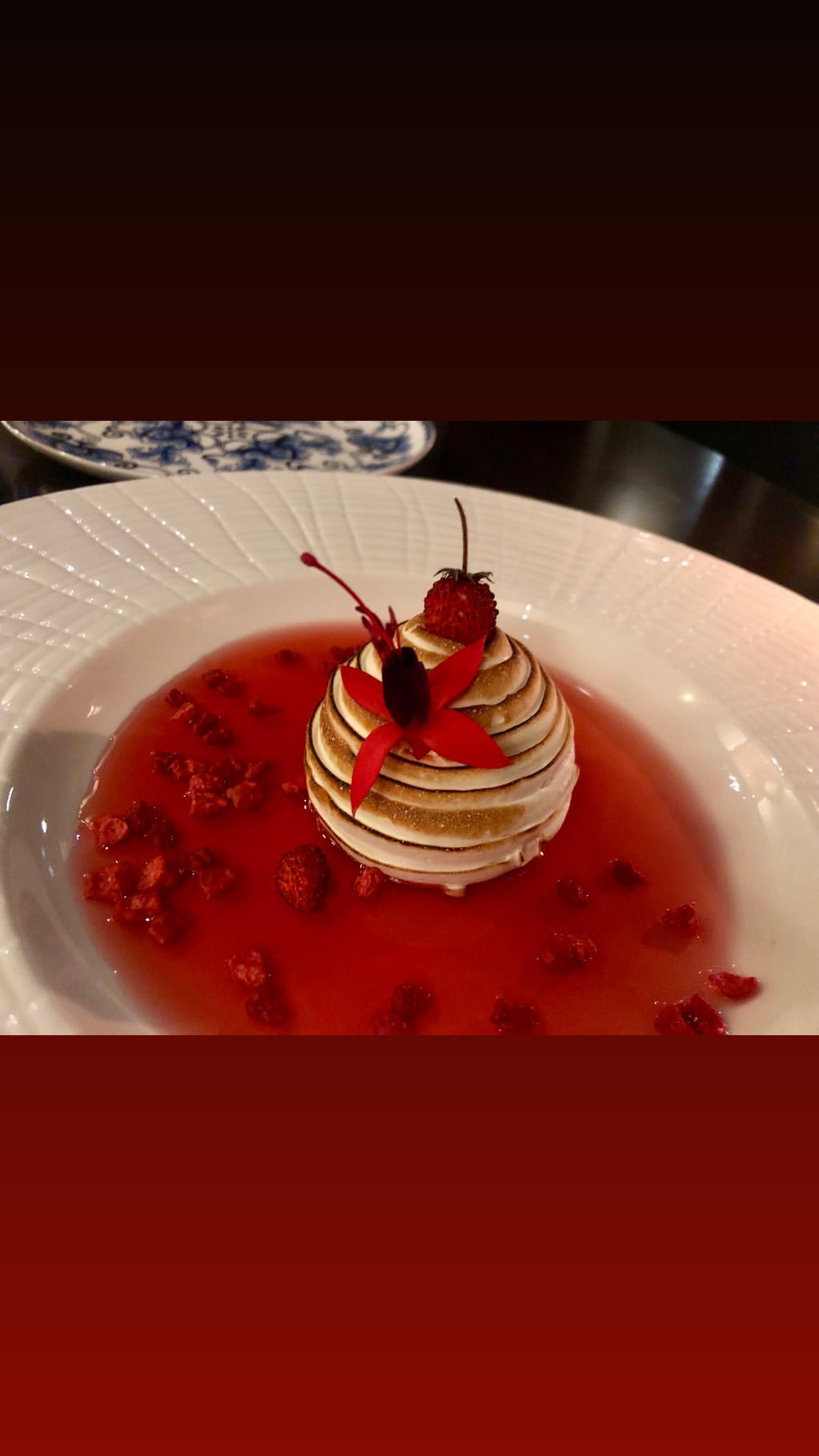 Vanessa Rallonza: Exquisite Dessert Plating