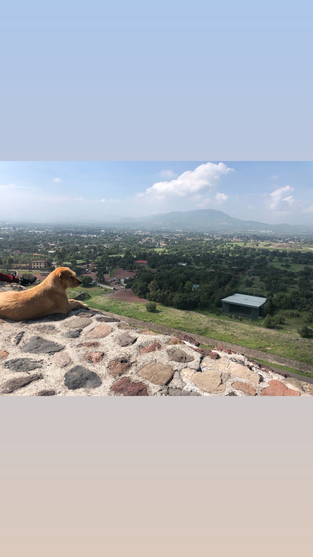 Vanessa Rallonza: Majestic Lion on Dramatic Savannah Outcrop