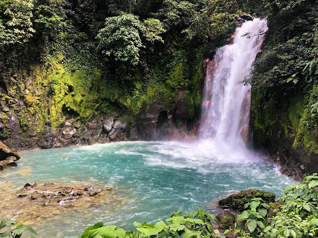 Vanessa Rallonza's Enchanted Jungle Waterfall: Vibrant Wildlife & Lush Greenery