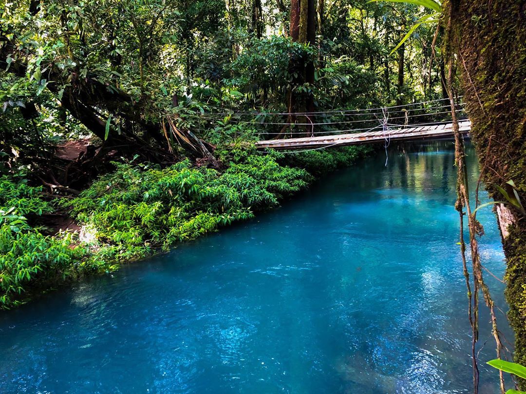 Vanessa Rallonza: Mysterious Jungle River Crossing