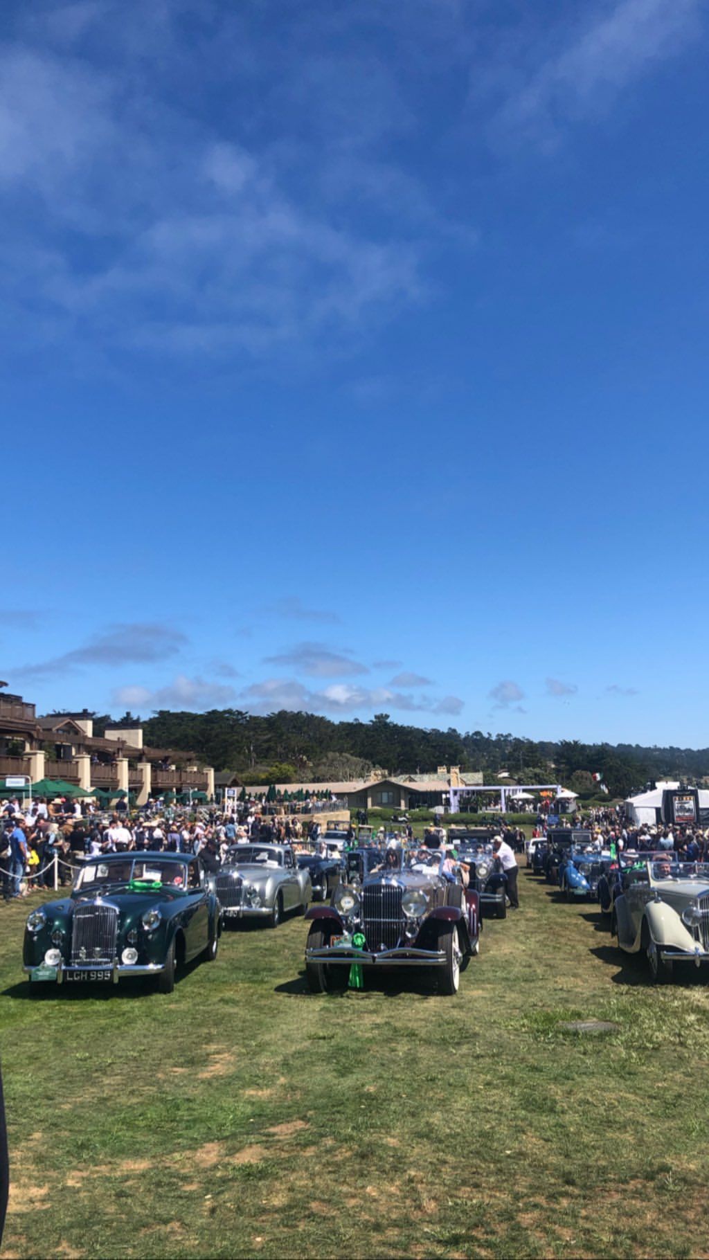 Vanessa Rallonza: A Car Enthusiast's Paradise - Sprawling Field Transformed