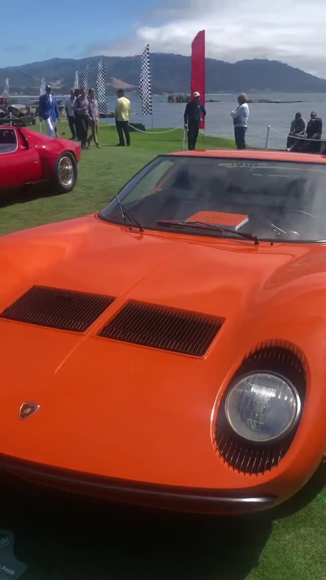 Vanessa Rallonza Vibrant Sports Car Showcase (Video)