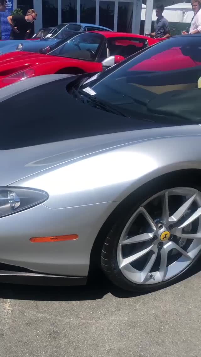Vanessa Rallonza Stunning Silver Sports Car (Video)