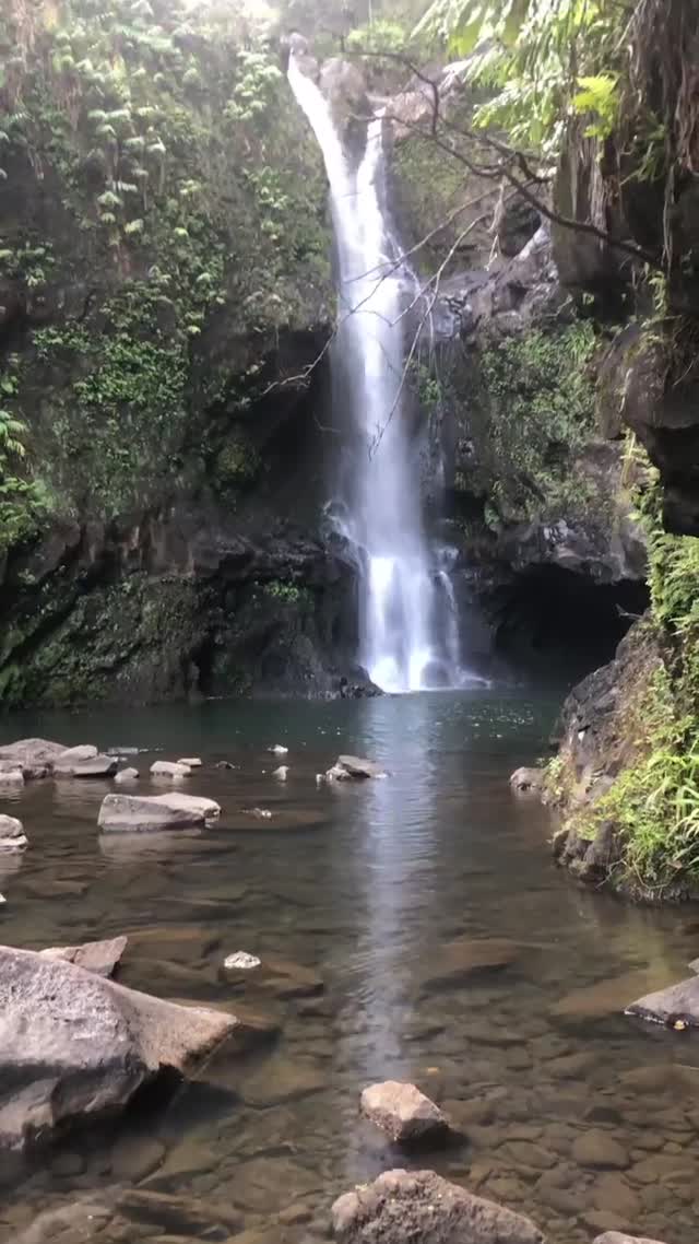 Vanessa Rallonza Nature's Enchanting Adventure (Video)