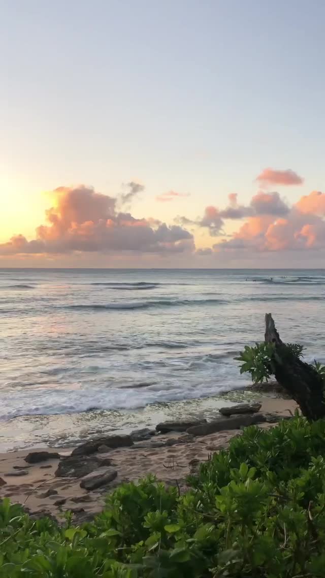Vanessa Rallonza Ocean Sunset Serenity (Video)
