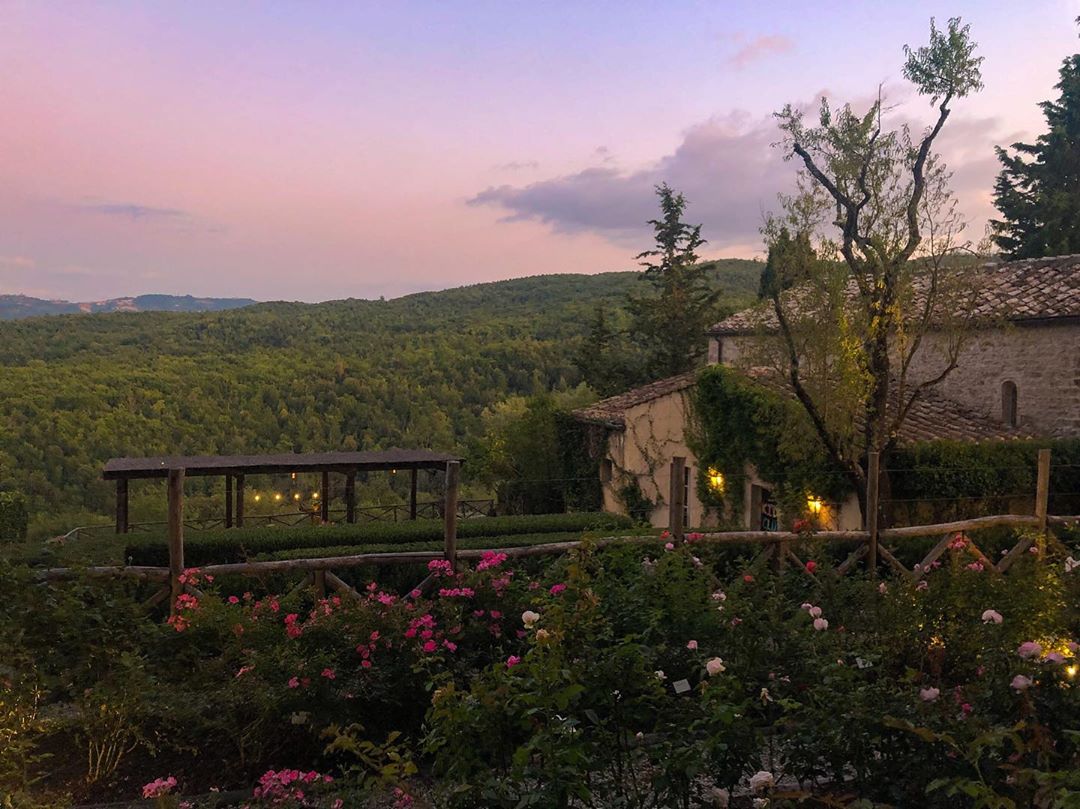 Vanessa Rallonza: Tranquil Garden Sunset Contemplation