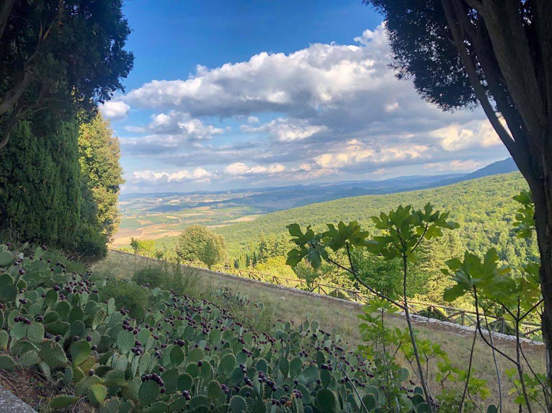 Vanessa Rallonza: Serene Hill Peak Panorama