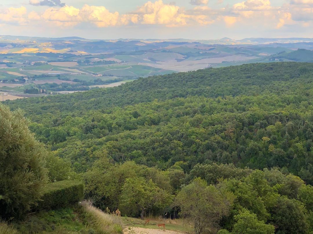 Vanessa Rallonza's Sunset Summit Panorama: Majestic Rolling Hills & Valleys