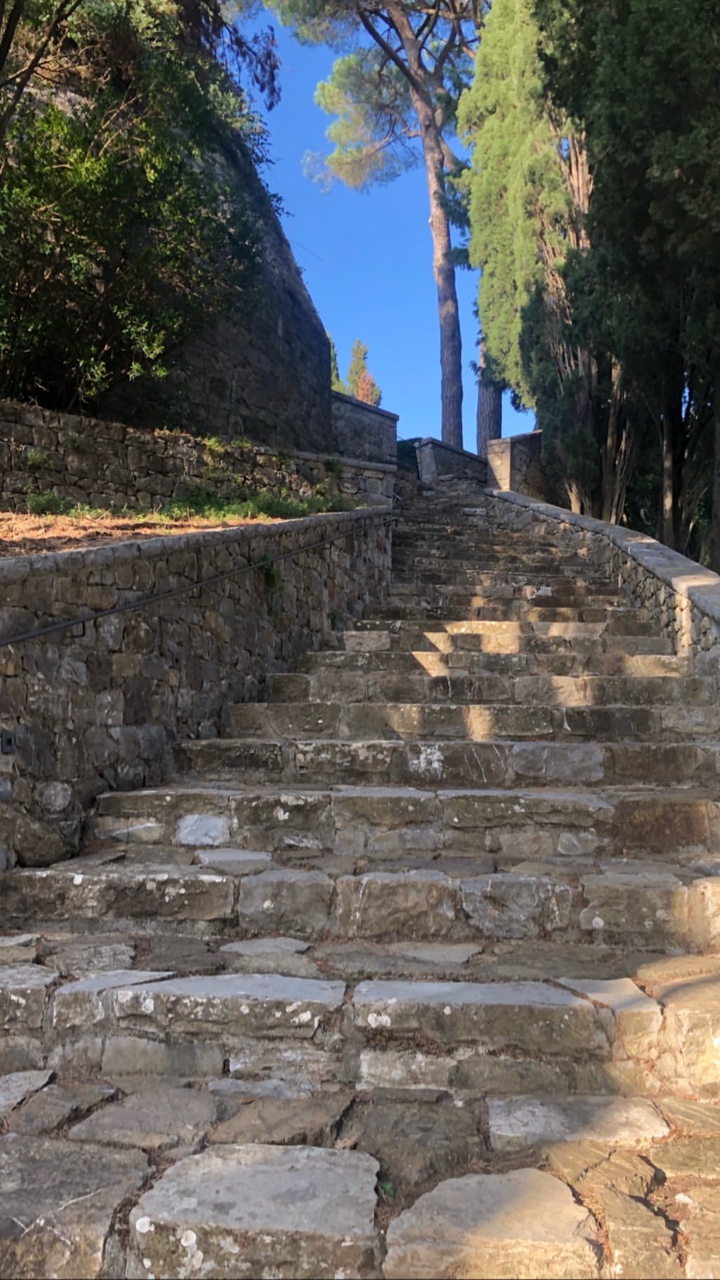 Vanessa Rallonza: Timeless Symphony of Ephesus Architecture