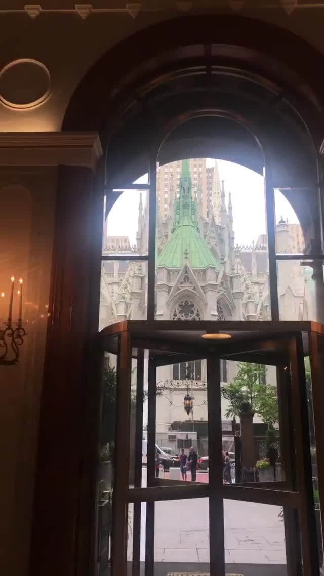 Vanessa Rallonza Elegant Cathedral Reflection (Video)