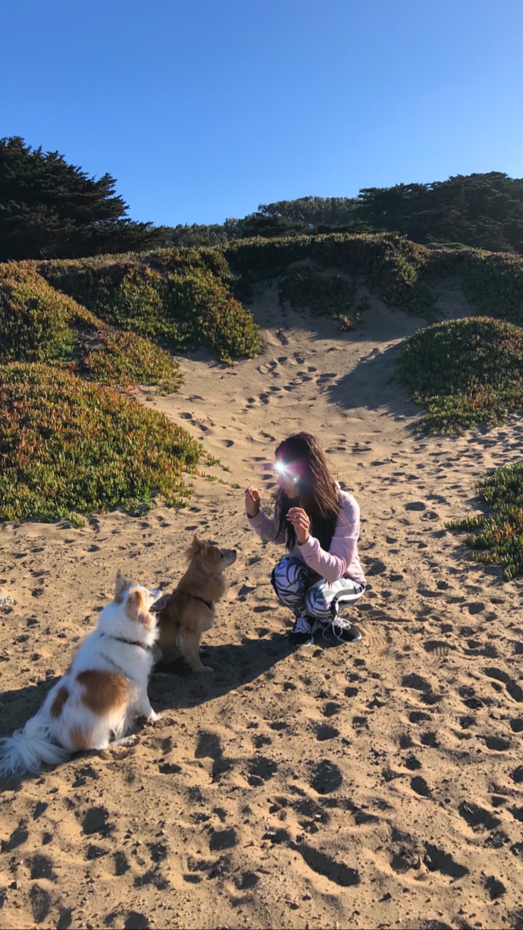 Vanessa Rallonza: Sun-Kissed Beach Hug - Girl and Dog